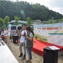 어식백세 이미지