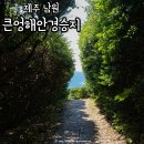 제주 남원 가볼만한곳 한반도 포토존 큰엉해안경승지 망한 후기
