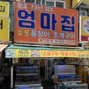 엄마꼼장어
