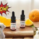 하라인터내셔널 이미지