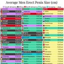 Average penis size (erect length in cm): 이미지