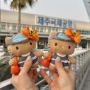 통물타이어하우스 | 제주도 렌트카 가격비교 자차보험 제주 렌트카 예약