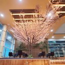 대구광역시교육청삼국유사군위도서관 이미지