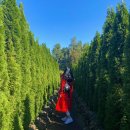 어반민박 이미지