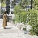 성남시청앞 인도 이미지