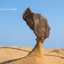 퓨전여관 | 대만 예스진지 택시투어 클룩 예약 방법