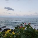 불루민박 이미지