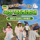 곡성 돌담집 이미지