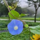 다락골신전마을 이미지