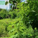 내곡동436 이미지