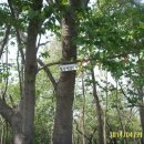 아미초등학교 이미지