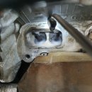 신호카클리닉 이미지