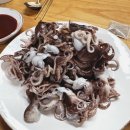 당진호스릴-68 | [화성 전곡항_동백호] 9월3일 쭈꾸미 낚시 (Chapter 1. 똥손 인증)