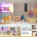 힐링캐터리 이미지