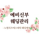 리즈케어 | 케어권에 추가금은 내돈내산] 노멀리즈에스테틱 웨딩케어 후기｜추가금 13만원으로 풀관리 받은 솔직...