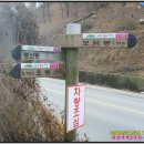 용바우