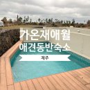 가온재 애월 | [제주]가온재애월 풀빌라 애견동반숙소 가족여행 후기