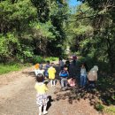 푸른숲어린이집 이미지