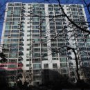 반월동 현대아파트 이미지