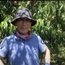 오뚜기 농장 이미지