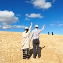 헌열농장 | 호주 필수 여행 시드니 포트스테판 투어 돌핀크루즈/사막썰매/와이너리 #2