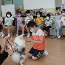 온혜초교 이미지