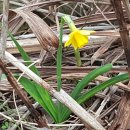 소박한바당쉼터 이미지