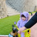 더알라딘키즈풀리조트 이미지