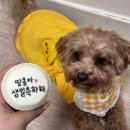 꼬미네까까 이미지