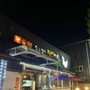 장윤정의 치킨아트 이미지