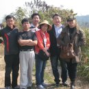영한농장 Daum카페