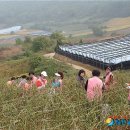 제15회 새마을의 날 기념행사 이미지