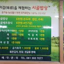 전남 장성군 백련동(축령산) 이미지