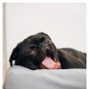 물푸레마을6단지 이미지