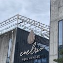 엔엘리오 | 대구 현풍 달성보 대형 베이커리 엔엘리오 아이들이랑 오기 좋은 카페