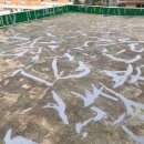 (주)폴리이엔씨 | (수원 연립 주택 옥상방수)폴리우레아 옥상방수 시공후기~!!