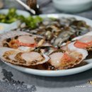 (주)백령여행사