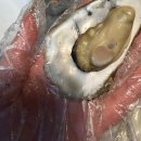 연산골목시장 | 부산연산맛집 추천｜홍게 가리비찜 석화 무한리필 가성비 끝판왕