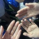 곽다정이네 | 나 어제 흠뻑쇼 갔다왔는데 ㅎㅎ