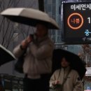 호야의정원