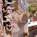 한국화B반 이미지