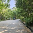 포토시그니처서울숲 | 성수 핫플 데이트 : 서울숲 사슴 방사장과 곤충식물원...30주년 팝업 행사까지 완벽했던 주말 나들이 후기