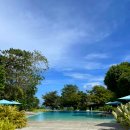 필터탑스코리아 | 필리핀 세부 탐불리 씨사이드 리조트 앤 스파 프리미어 스위트 객실 수영장 후기♥