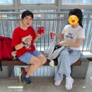 책과 사람이 함께 즐거운 무더위사냥 | <지하철 1호선 독서클럽> 당일치기 대구 지하철 북토크 후기(feat.납작만두 어디까지 먹어봤니?)