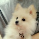 청주지웰동물병원 이미지