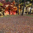 우제류를위하여 이미지