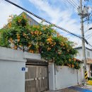 어비슨기념관 | 전라도 광주 가볼만한곳 양림동 이장우 가옥 조용한 골목여행 추천해요