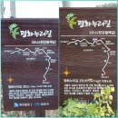 신흥마을 배수펌프장 | 세 개의 길에서 3코스 톺아보기