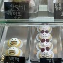 창원 가로수길 느좋 신상카페 레몬케이크 맛집 도모 추천 후기
