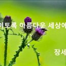 이토록 아름다운 세상 이미지